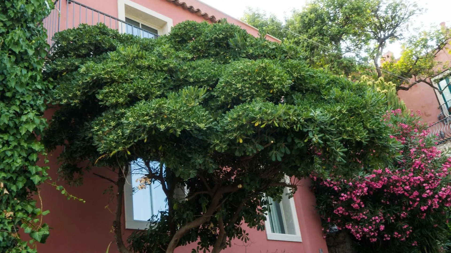 The Charming House Apartment Taormina 0*,
